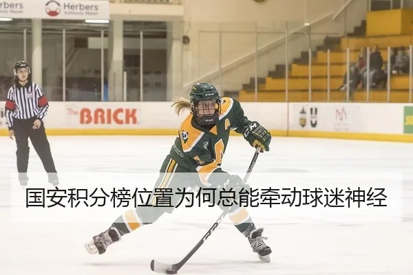 国安积分榜位置为何总能牵动球迷神经