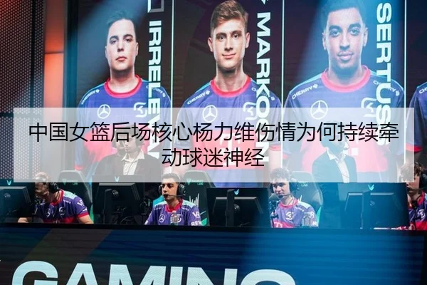 中国女篮后场核心杨力维伤情为何持续牵动球迷神经